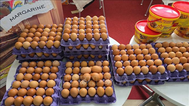 Năng lực sản xuất trứng gia cầm ở Algeria ở mức cao, đáp ứng tốt nhu cầu nội địa và hướng tới xuất khẩu. Ảnh: Nguyễn An - PV TTXVN tại Algeria