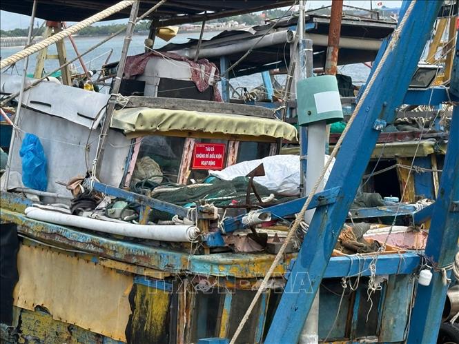 Tàu cá không đủ điều tại xã Long Hải đã được đóng biển nhận diện. Ảnh: Hoàng Nhị - TTXVN.