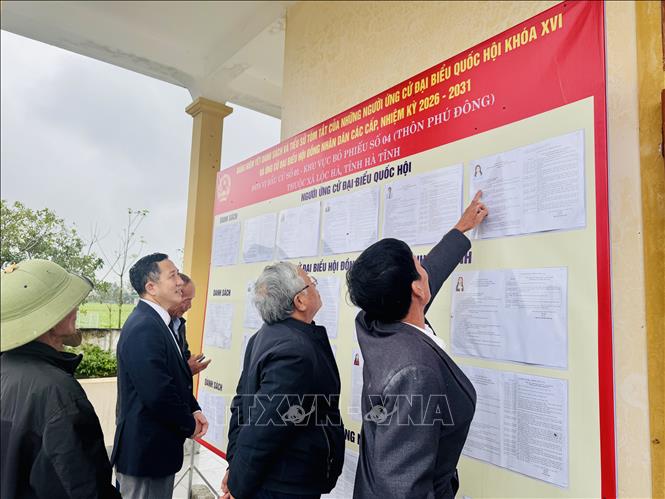 Người dân thôn Phú Đông, xã Lộc Hà, tìm hiểu thông tin người ứng cử Đại biểu Quốc hội và Đại biểu HĐND các cấp nhiệm kỳ 2026 - 2031. Ảnh: Hoàng Ngà - TTXVN