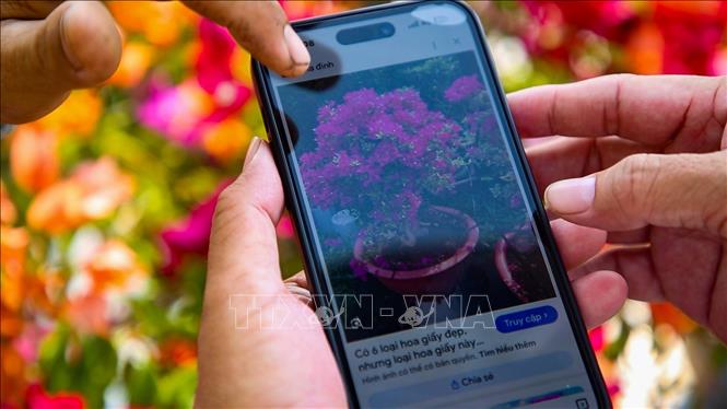 Người dân phường Long Hoa, tỉnh Tây Ninh sử dụng điện thoại thông minh để tra cứu thông tin sản phẩm nông nghiệp, góp phần thúc đẩy kinh tế số trong lĩnh vực nông nghiệp. Ảnh: Minh Phú - TTXVN