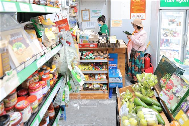 Người dân sử dụng mã QR để thanh toán tại cửa hàng Sói Biển (Hà Nội). Ảnh: Lê Đông - TTXVN
