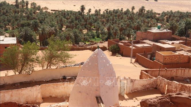 Một ốc đảo trên sa mạc Sahara. Ảnh: Mạnh Hùng – PV TTXVN tại Algeria