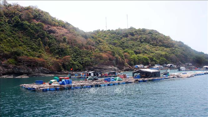 Một góc đảo Hòn Khoai (xã Sông Đốc, tỉnh Cà Mau). Ảnh: Chanh Đa - TTXVN