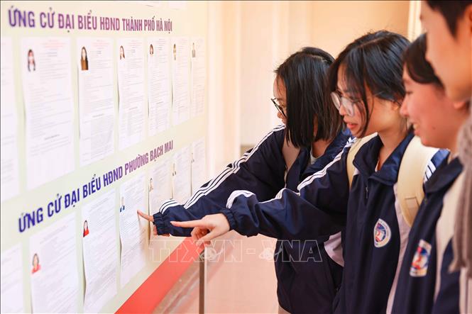 Sinh viên xem danh sách người ứng cử đại biểu Quốc hội khóa XVI và đại biểu HĐND các cấp tại Khu vực bỏ phiếu số 19 – Đại học Kinh tế Quốc dân. Ảnh: Thanh Tùng – TTXVN