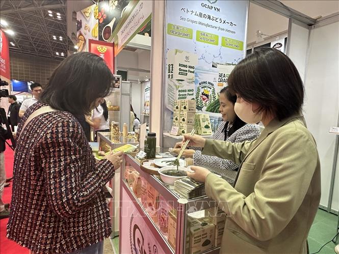 Doanh nghiệp Việt Nam đang giới thiệu rong nho, được Việt Nam giới thiệu lần đầu tiên tại Foodex Nhật Bản. Ảnh: Nguyễn Tuyến - PV TTXVN tại Nhật Bản 