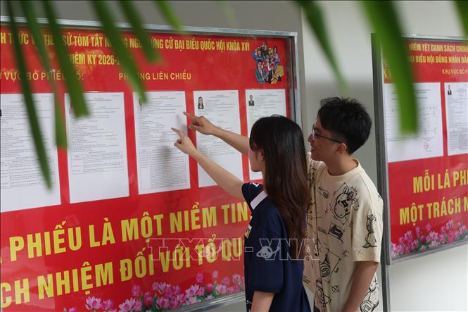 Sinh viên Trường Đại học Bách khoa, Đại học Đà Nẵng tìm hiểu thông tin về các ứng cử viên tại bảng niêm yết được bố trí trong ký túc xá nhà trường. Ảnh: Xuân Quý - TTXVN