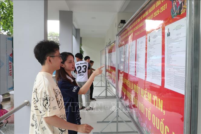 Sinh viên Trường Đại học Bách khoa, Đại học Đà Nẵng tìm hiểu thông tin về các ứng cử viên tại bảng niêm yết được bố trí trong ký túc xá nhà trường. Ảnh: Xuân Quý - TTXVN