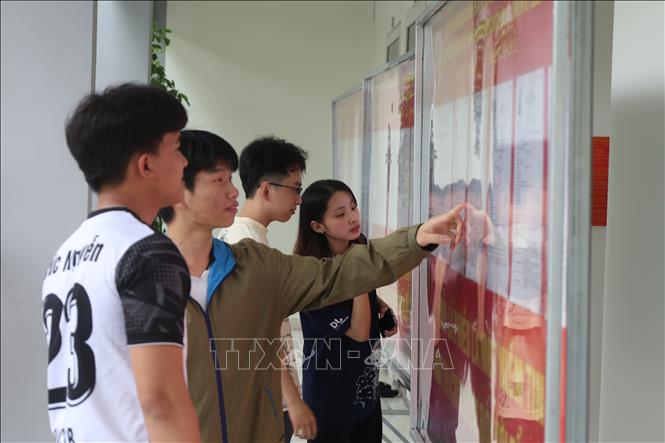 Sinh viên Trường Đại học Bách khoa, Đại học Đà Nẵng tìm hiểu thông tin về các ứng cử viên tại bảng niêm yết được bố trí trong ký túc xá nhà trường. Ảnh: Xuân Quý - TTXVN