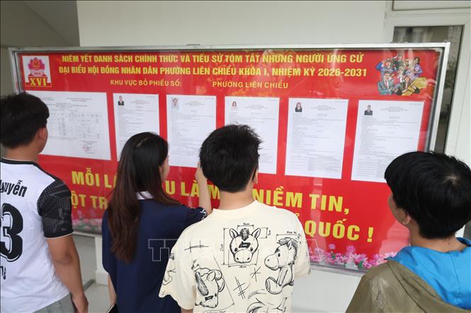 Sinh viên Trường Đại học Bách khoa, Đại học Đà Nẵng tìm hiểu thông tin về các ứng cử viên tại bảng niêm yết được bố trí trong ký túc xá nhà trường. Ảnh: Xuân Quý - TTXVN