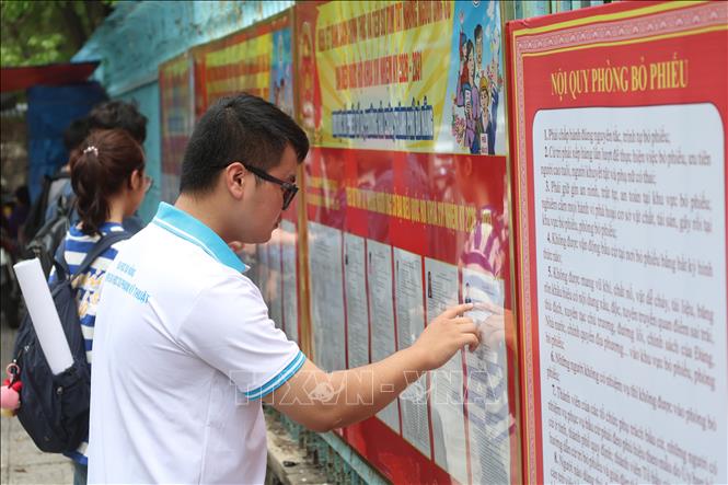 Cử tri là sinh viên Trường Đại học Sư phạm Kỹ thuật, Đại học Đà Nẵng nghiên cứu kỹ tiểu sử, chương trình hành động của các ứng cử viên. Ảnh: Xuân Quý - TTXVN