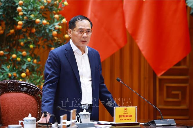 Phó Thủ tướng Bùi Thanh Sơn, Tổ trưởng Tổ công tác bảo đảm an ninh năng lượng phát biểu. Ảnh: Dương Giang-TTXVN 