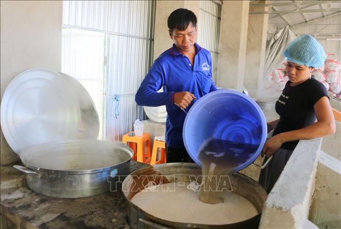 Nước thốt nốt sau khi thu hoạch phải được nấu ngay để tránh bị chua. Ảnh: Công Mạo-TTXVN