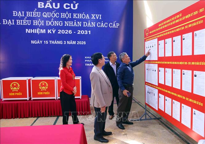 Người dân đến các điểm bỏ phiếu trên địa bàn phường để xem danh sách người ứng cử đại biểu Quốc hội khóa XVI và đại biểu Hội đồng nhân dân các cấp nhiệm kỳ 2026-2031. Ảnh: Phạm Kiên - TTXVN