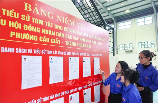 Danh sách cử tri, người ứng cử cùng trích ngang của từng ứng viên được niêm yết công khai tại khu vực bỏ phiếu. Ảnh: Thanh Tùng - TTXVN