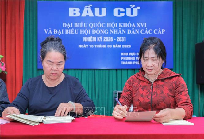 Công tác phân loại phiếu cử tri trước khi phát đến từng hộ dân tại các điểm bầu cử phường Việt Hưng, TP Hà Nội, được triển khai nghiêm túc, đúng quy định, bảo đảm phục vụ tốt ngày bầu cử. Ảnh: Phan Phương – TTXVN