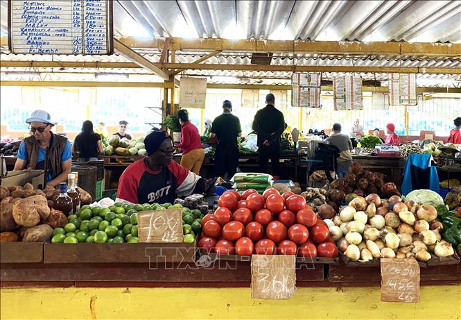 Chợ là nơi cung cấp các loại nông sản tươi ngon, thực phẩm hữu cơ và nguyên liệu cho các món ăn truyền thống. Ảnh: Ngọc Duy - PV TTXVN tại Cuba