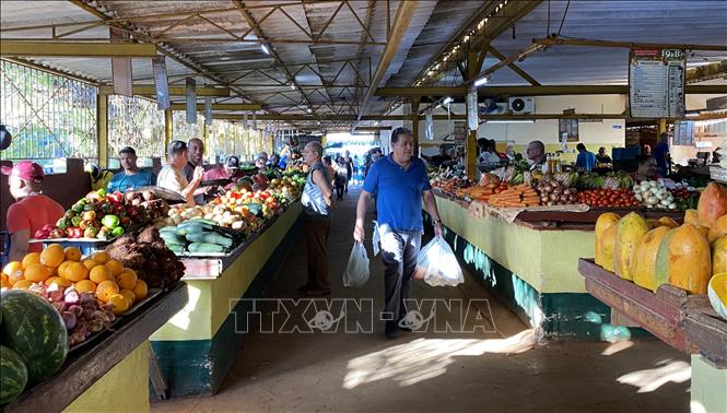 Bên trong chợ nông sản 19B ở La Habana. Ảnh: Ngọc Duy - PV TTXVN tại Cuba