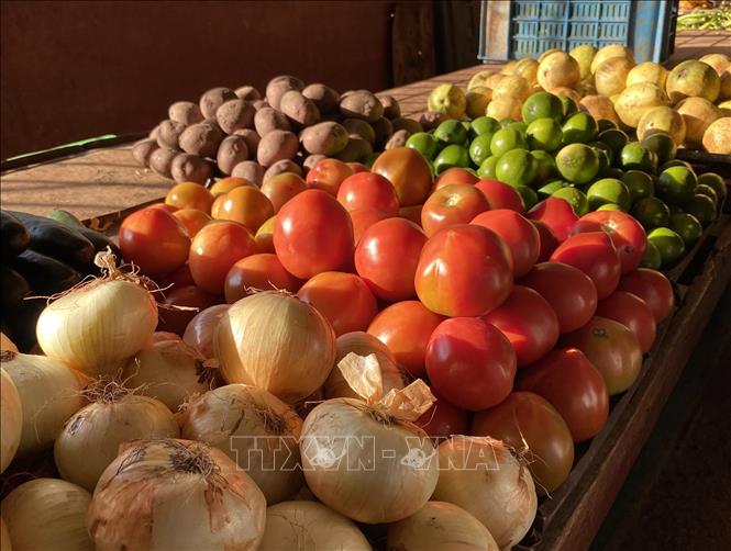 Củ quả xếp xen lẫn nhau như một bảng màu đa sắc trong chợ nông sản 19B. Ảnh: Ngọc Duy - PV TTXVN tại Cuba