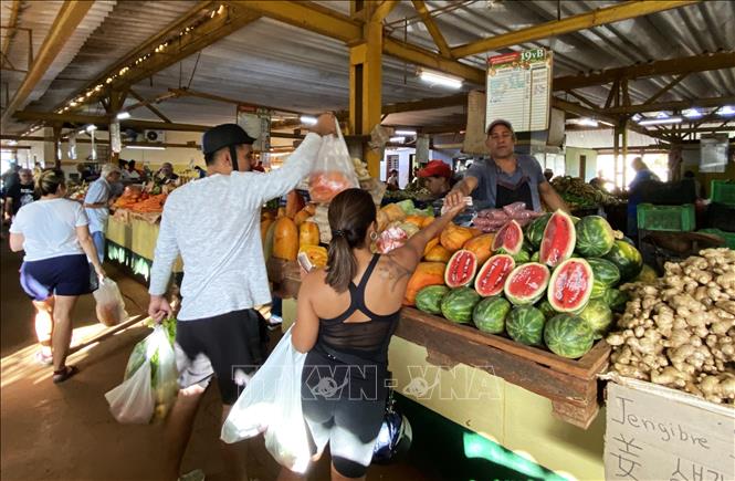 Không khí mua bán nhộn nhịp trong chợ nông sản 19B ở La Habana. Ảnh: Ngọc Duy - PV TTXVN tại Cuba