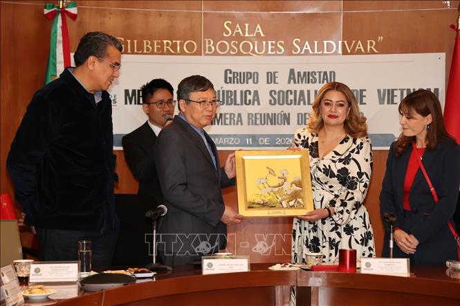 Đại sứ Việt Nam tại Mexico Nguyễn Văn Hải tặng quà lưu niệm cho bà Ana Karina Rojo Pimentel, Chủ tịch Ủy ban Phúc lợi Hạ viện Mexico kiêm Chủ tịch Nhóm Nghị sĩ hữu nghị Mexico – Việt Nam. Ảnh: Phi Hùng - PV TTXVN tại Mexico