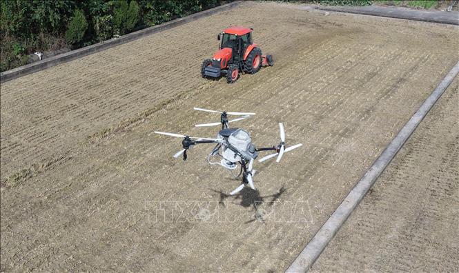 Máy bay không người lái rải phân bón trên cánh đồng ở Giang Tô, Trung Quốc. Ảnh: THX/TTXVN