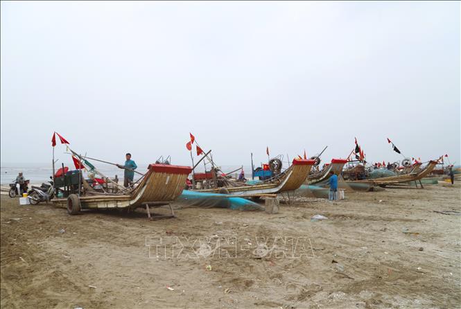 Bè mảng của ngư dân làng biển xã Hải Châu (tỉnh Nghệ An) tấp nập cập bến bờ sau một đêm khai thác cá trích. Ảnh: Xuân Tiến - TTXVN 