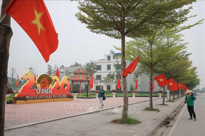 Vườn hoa Cửa Liễu (xã Ô Diên) rực rỡ màu cờ. Ảnh: Hoàng Hiếu - TTXVN