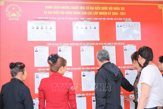 Tìm hiểu thông tin các ứng viên tại đơn vị bầu cử số 6, khu vực bỏ phiếu số 29. Ảnh: Hoàng Hiếu - TTXVN