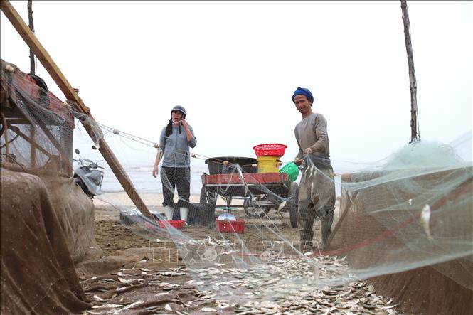 Thương lái luôn chờ sẵn tại bến bãi chờ chủ phương tiện bè mảng gỡ cá xong để thu mua. Ảnh: Xuân Tiến – TTXVN 
