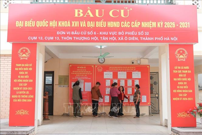 Cử tri tìm kiếm thông tin các ứng viên tại đơn vị bầu cử số 6, khu vực bỏ phiếu số 32. Ảnh: Hoàng Hiếu - TTXVN