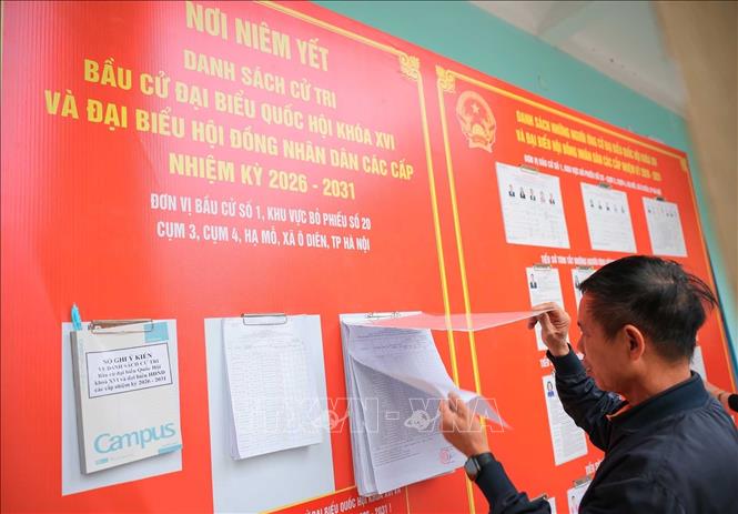 Cử tri tìm hiểu thông tin các ứng viên tại Đơn vị bầu cử số 6, khu vực bỏ phiếu số 32. Ảnh: Hoàng Hiếu - TTXVN