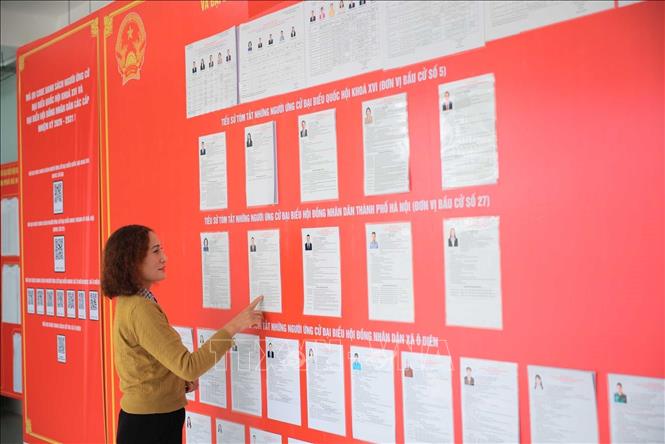Cử tri xem danh sách đại biểu ứng cử. Ảnh: Hoàng Hiếu - TTXVN