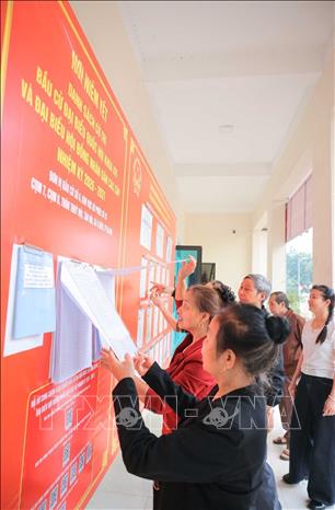 Nguời dân tìm hiểu thông tin các ứng viên tại đơn vị bầu cử số 6, khu vực bỏ phiếu số 29. Ảnh: Hoàng Hiếu - TTXVN