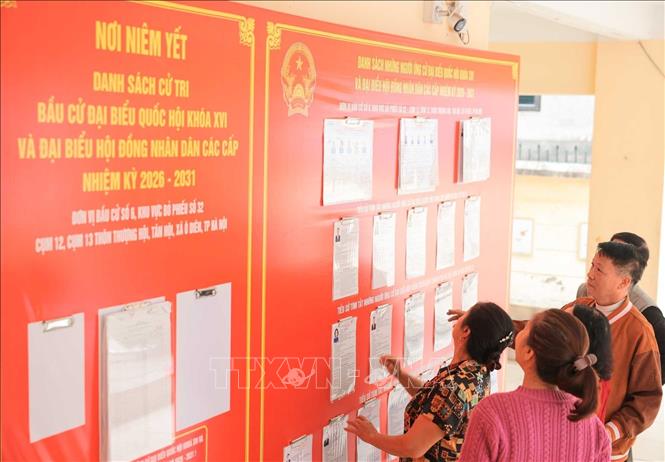 Cử tri tìm hiểu thông tin các ứng viên tại Đơn vị bầu cử số 6, khu vực bỏ phiếu số 32. Ảnh: Hoàng Hiếu - TTXVN