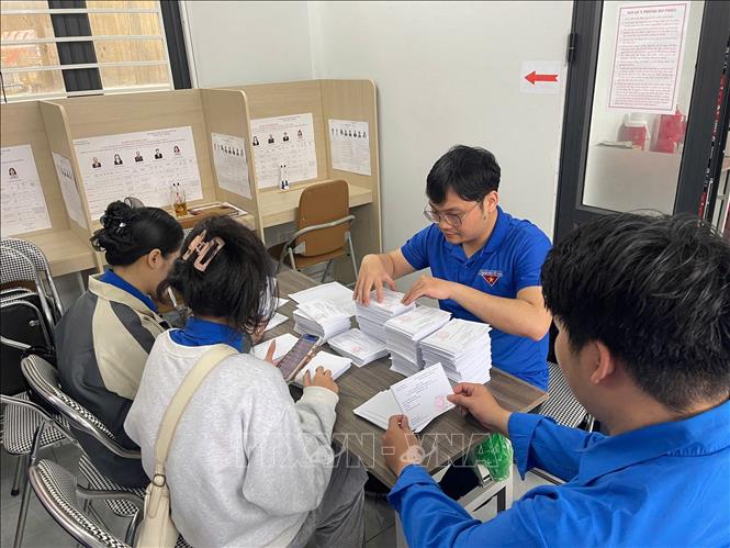 Đoàn viên thanh niên phường Đống Đa (Hà Nội) giúp tổ bầu cử sắp xếp, phân loại thẻ cử tri. Ảnh: Kim Anh – TTXVN