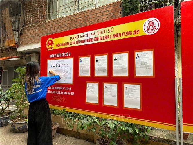 Thanh niên tình nguyện hỗ trợ niêm yết danh sách và tiểu sử người ứng cử đại biểu Quốc hội, HĐND tại các khu vực bầu cử. Ảnh: Minh Ánh/TTXVN phát