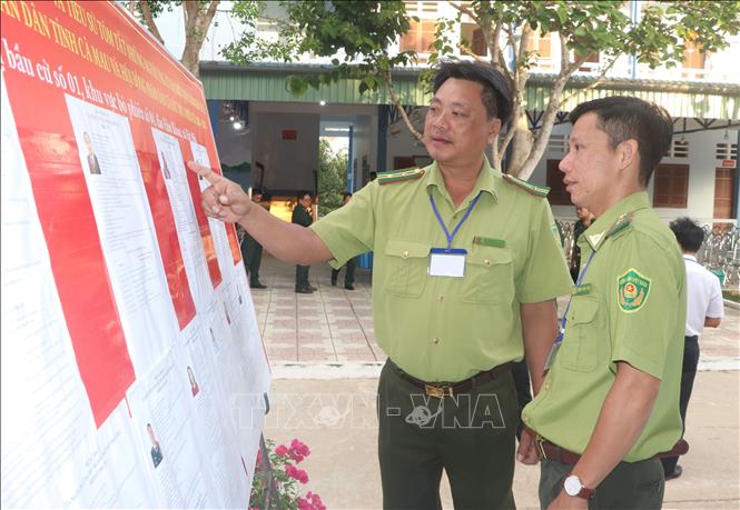 Cán bộ Hạt kiểm lâm Hòn Khoai tìm hiểu danh sách ứng cử viên. Ảnh: Tuấn Phi - TTXVN 