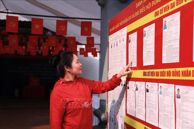 Các bảng niêm yết thông tin ứng cử viên được hoàn thiện tại khu vực bỏ phiếu nhằm đảm bảo cử tri thuận tiện tìm hiểu trước khi tham gia bầu cử. Ảnh: Quỳnh Anh - TTXVN phát