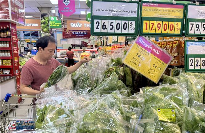 Siêu thị Thành phố Hồ Chí Minh tung nhiều khuyến mãi hấp dẫn với nhóm hàng rau xanh. Ảnh: Hương Giang - TTXVN