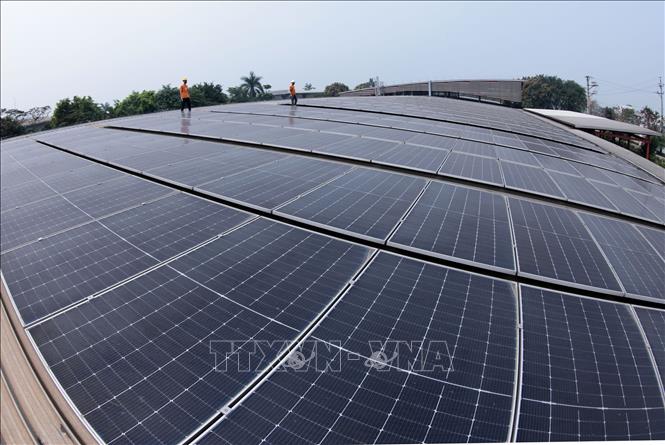 Hệ thống điện mặt trời tại Công ty Maxport Limited Thái Bình, xã Tân Thuận, Hưng Yên. Ảnh: Trần Việt - TTXVN