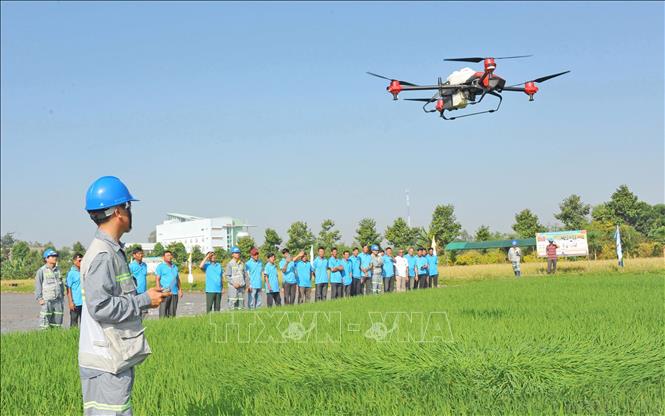 Nhiếp ảnh đóng vai trò quan trọng trong việc đưa các nghị quyết vào đời sống, giúp người dân dễ dàng tiếp nhận, thấu hiểu và tin tưởng vào các chính sách. Trong ảnh: Nông dân An Giang tham gia trình diễn máy bay không người lái phun thuốc trừ sâu, phân bón trên cánh đồng Thoại Sơn. Ảnh: Công Mạo – TTXVN