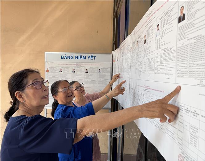 Người dân phường Ninh Kiều tìm hiểu thông tin của các ứng cử viên đại biểu Quốc hội khóa XVI và đại biểu HĐND thành phố Cần Thơ nhiệm kỳ 2026 - 2031. Ảnh: Nguyễn Văn Việt – TTXVN