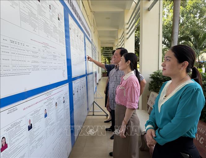 Thông tin các ứng cử viên được người dân phường Ninh Kiều (Cần Thơ) tích cực tìm hiểu. Ảnh: Nguyễn Văn Việt – TTXVN
