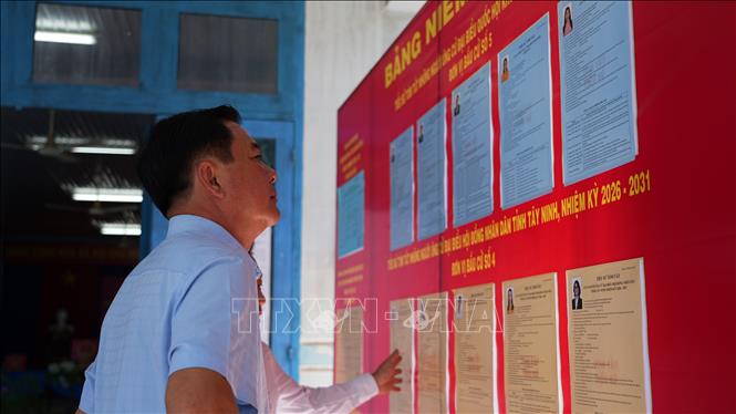 Các địa phương trong tỉnh Tây Ninh đã hoàn tất việc rà soát danh sách và in khoảng 2,4 triệu thẻ cử tri, phát đến người dân tham gia bầu cử. Ảnh: Thanh Tân - TTXVN