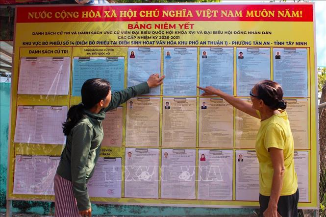 Tại phường Tân An, danh sách 25.112 cử tri đã được lập và niêm yết công khai tại 18 khu vực bỏ phiếu trên địa bàn. Ảnh: Thanh Tân - TTXVN