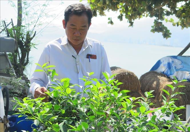 Cựu chiến binh, thương binh hạng 2/4 Nguyễn Văn Dũng (sinh năm 1966) trú tại phường Vĩnh Hòa, thành phố Nha Trang, tỉnh Khánh Hòa là một trong số ít những người lính trở về sau trận chiến đấu bảo vệ Gạc Ma năm 1988. Ảnh: Phan Sáu - TTXVN