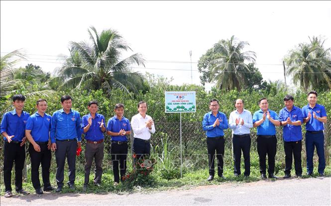 Công trình sắc xanh thanh niên góp phần làm đẹp cảnh quan nông thôn. Ảnh: Lê Thúy Hằng – TTXVN
