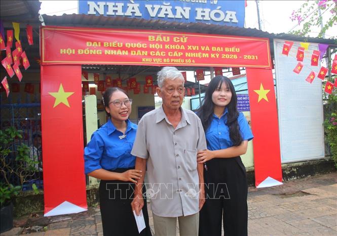 Lực lượng đoàn viên thanh niên hỗ trợ cử tri lớn tuổi đi bỏ phiếu bầu cử tại điểm bầu cử số 4, phường Vị Tân, thành phố Cần Thơ. Ảnh: Duy Khương - TTXVN
