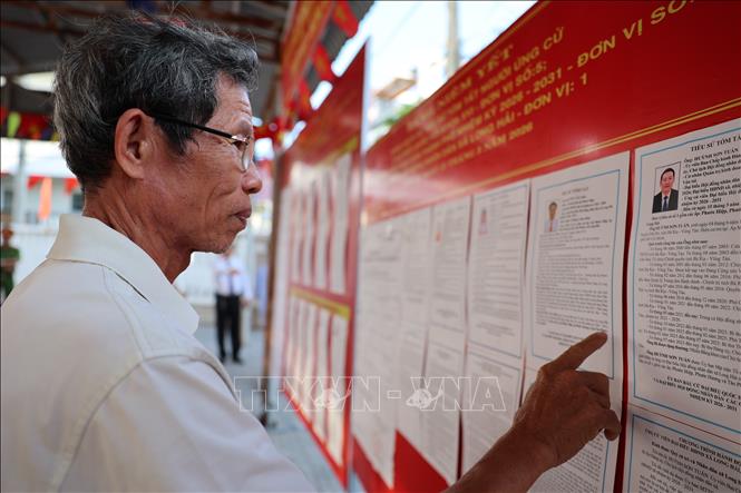 Cử tri tại ấp Phước Hiệp, xã Long Hải kiểm tra tiểu sử danh sách niêm yết của các đại biểu ứng cử đại biểu Quốc hội và HĐND các cấp của thành phố. Ảnh: Hoàng Nhị - TTXVN.