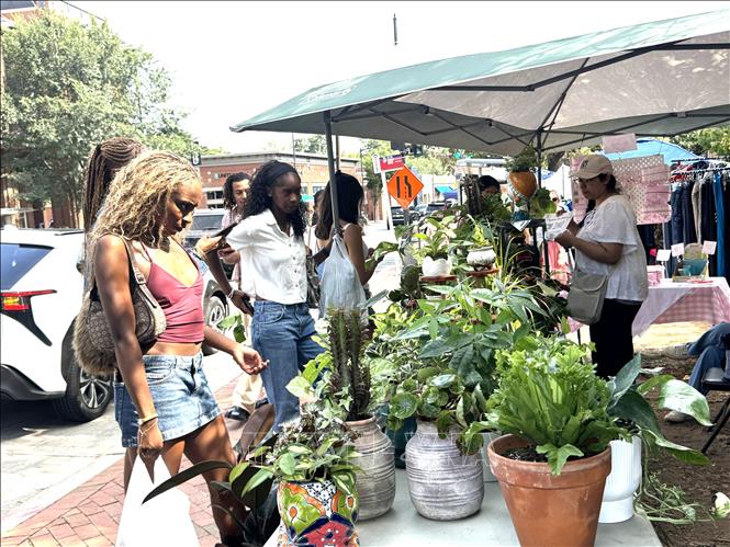 Cây cảnh bày bán trên đường phố ở thủ đô Washington D.C. Ảnh: Đoàn Hùng - P/v TTXVN tại Mỹ